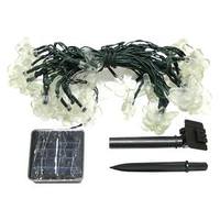 Creative Motion 40 Light Green Wire Butterfly Solar Powered LED String
